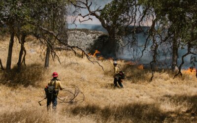 Wildfire Home Insurance in California 2026: How to Find Coverage and What It Costs